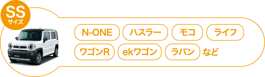 純水洗車スタンダードSSサイズ