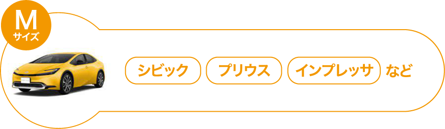 純水洗車スタンダードMサイズ