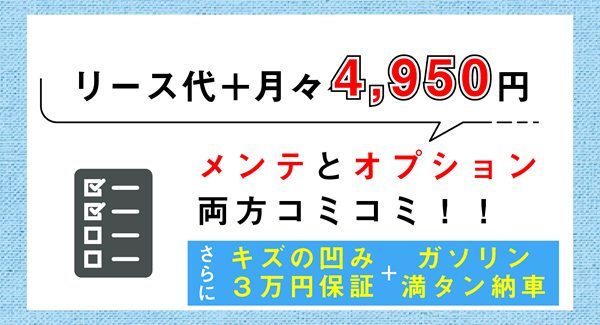 リース代+月々4,950円でメンテとオプション両方コミコミ